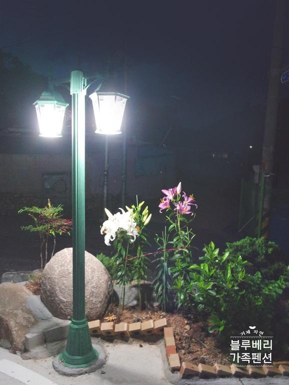 Geoje Blueberry Pension מראה חיצוני תמונה